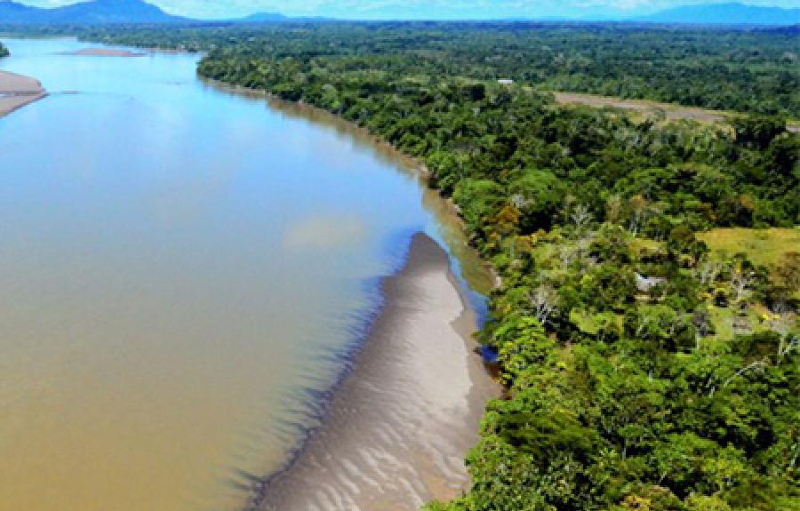  Amazon River by Alvaro del Campo-The Field Museum
