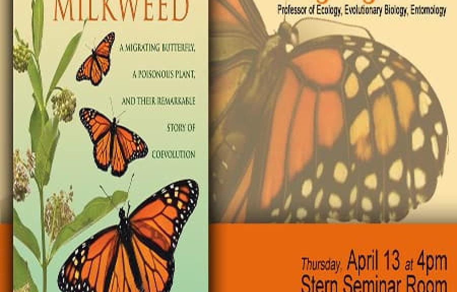 Monarch and Milkweed flyer/book cover photo