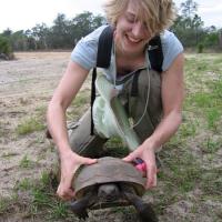 Florida field course student with gopher tortoise