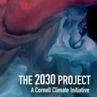 2030 Project logo