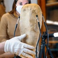 Researchers shown examining the mummy bird