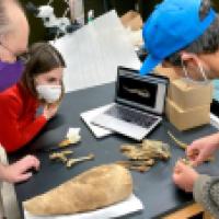 Collaborators looking at the mummy bird and bones
