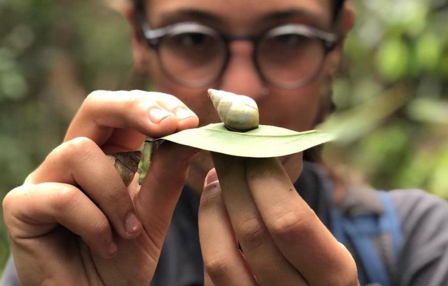 Student showing a snail on a leaf