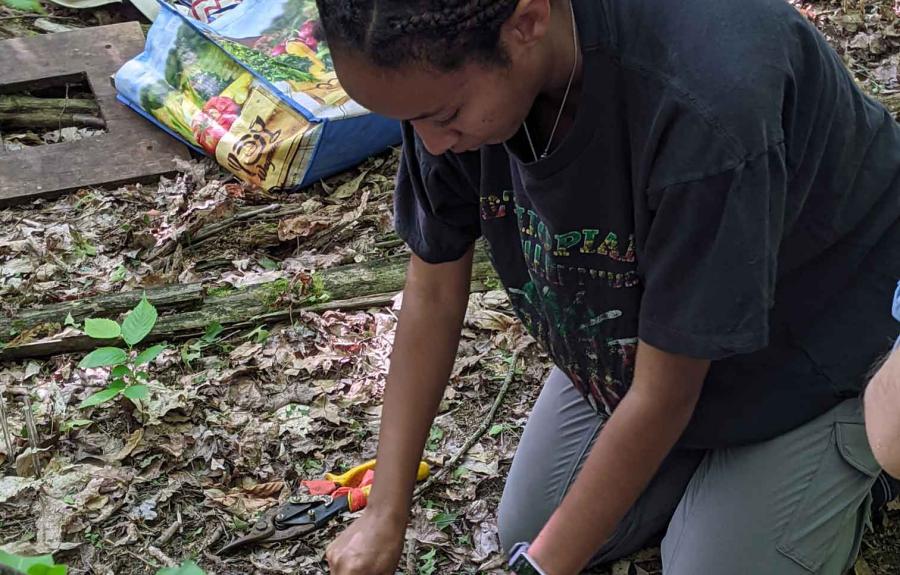 A student taking a soil sample in the forest