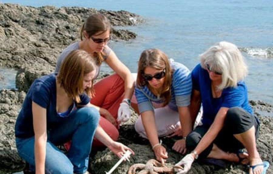 Drew Harvell, far right, professor of ecology and evolutionary biology and former Cornell Atkinson faculty director, examines starfish with students at Friday Harbor Labs on the coast of Washington state in 2014.