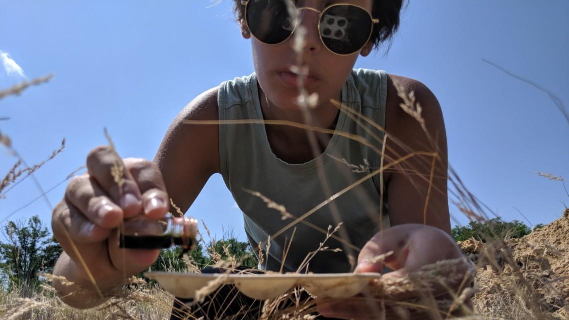 Student working at ground level in the field