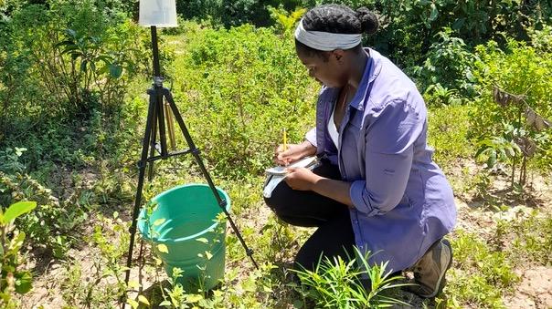 EEB graduate student Sudan Kariuki in the field.