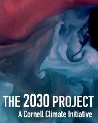 2030 Project logo