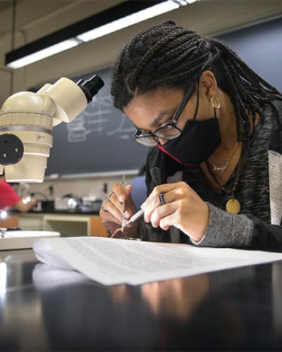 A student working in a biology lab