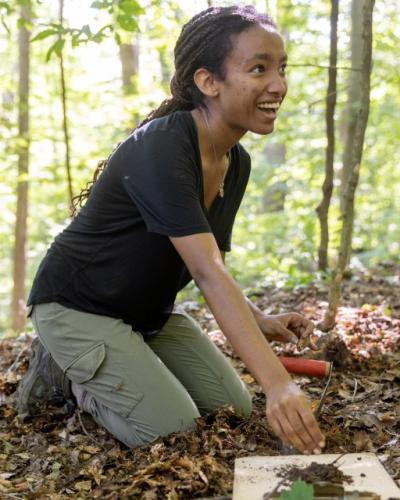An undergraduate student shown in the forest working on a research project with the Goodale Lab.