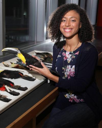 Grad student Amelia-Juliette Demery shown with bird specimens