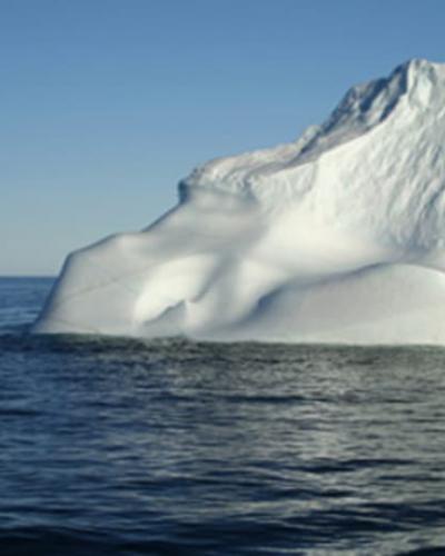 Iceberg