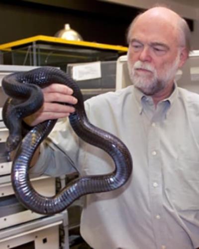 Harry Greene holding deceased snake