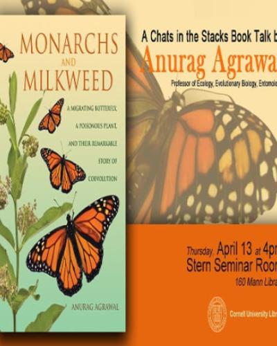 Monarch and Milkweed flyer/book cover photo